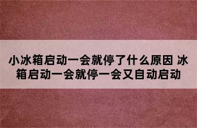 小冰箱启动一会就停了什么原因 冰箱启动一会就停一会又自动启动